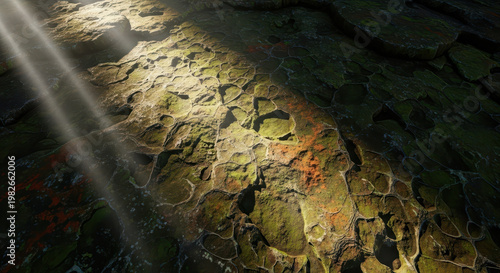 Sunlight on weathered rock surface