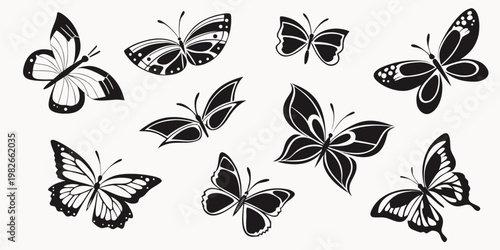 Set of various black and white butterfly silhouettes for graphic design with butterfly silhouette collection monochrome decorative creature illustration isolated different detailed