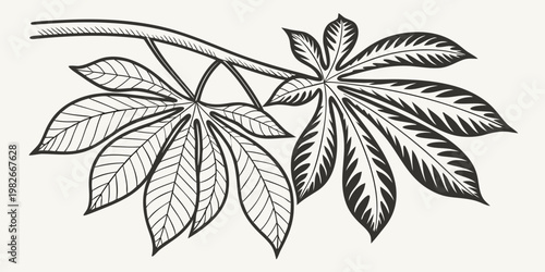 Detailed monochrome line art illustration of a branch with distinct palmate leaves design element black white hand drawn plant life fine art botanical drawing botanical illustration