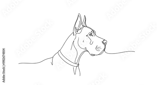Great Dane dog portrait line drawing on minimalist gray background