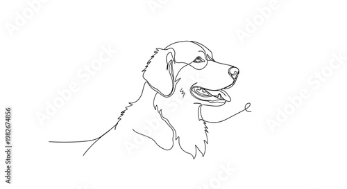 Golden retriever dog portrait line drawing on minimalist gray background