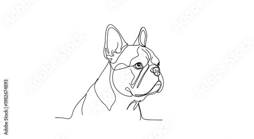 French bulldog dog portrait line drawing on minimalist gray background