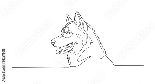 Siberian husky dog portrait line drawing on minimalist gray background