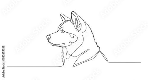 Akita Inu dog portrait line drawing on minimalist gray background