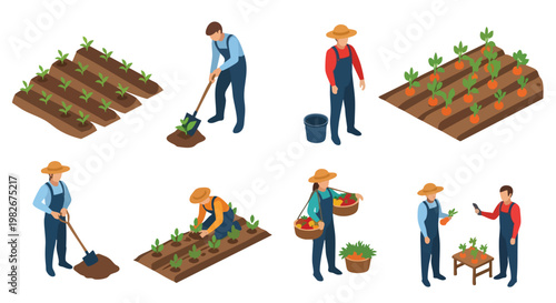 Farmers Working in Vegetable Garden, Isometric Illustration