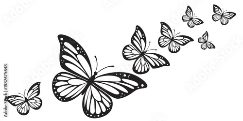 Black and white silhouette of a group of monarch butterflies flying in a diagonal formation with butterfly butterflies silhouette wildlife monochrome isolated fluttering collection