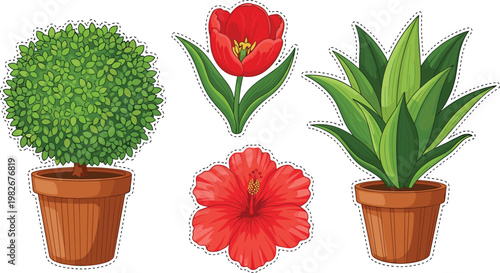 Potted plants and red flowers vector illustration featuring tulip hibiscus and green houseplants decorative botanical elements isolated set