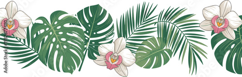 Tropical vector horizontal border with green monstera leaves palm branches and white orchid flowers for summer wedding invitations exotic nature backgrounds and floral frame designs 