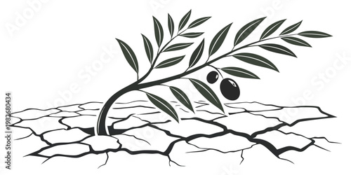Graphic illustration of an olive tree branch sprouting from cracked dry earth depicting survival and hope with survival illustration environment agriculture resilience conceptual hardship