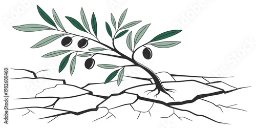 Artistic drawing of an olive branch sprouting from dry cracked ground representing resilience with survival resilience illustration environment agriculture conceptual persistence symbolic