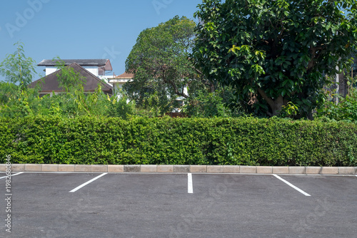 Parking lot with foliage wall in the background.