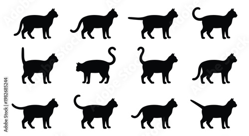 Black cat silhouette collection, set of 12 domestic feline vector icons, standing cat body shapes with different tail positions, pet animal graphics