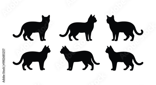 Black cat silhouettes set, standing domestic feline shapes in various poses, minimalist animal vector icons for pet branding and graphic design