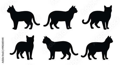 Black cat silhouettes set, 6 domestic feline vector shapes, standing cat profile outlines, minimalist pet animal icons for logo design