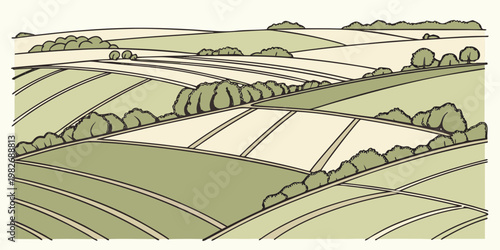 Rolling agricultural farmland landscape with green fields and hedgerows in a hand drawn artistic style landscape farmland agriculture countryside illustration artistic hedgerow outdoors