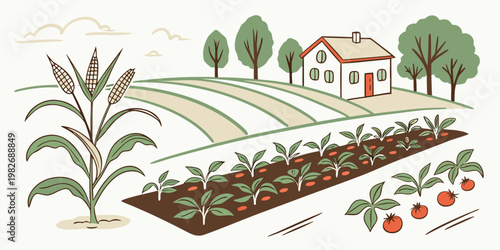 Hand drawn illustration of a vegetable garden with rows of crops near a farmhouse rural life farm life vegetables farmhouse agriculture countryside tomatoes landscape cultivation