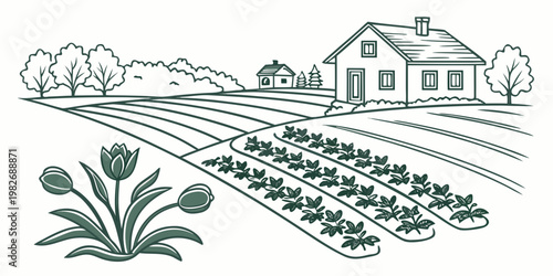 Line art rural landscape with farmhouse and agricultural vegetable garden rows agriculture landscape vegetables countryside illustration cultivation graphics monochrome homestead