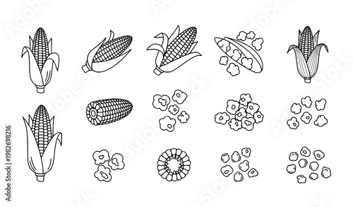 Title:
Hand drawn sweet corn line art vector set with maize cob popcorn and kernels minimal outline icons