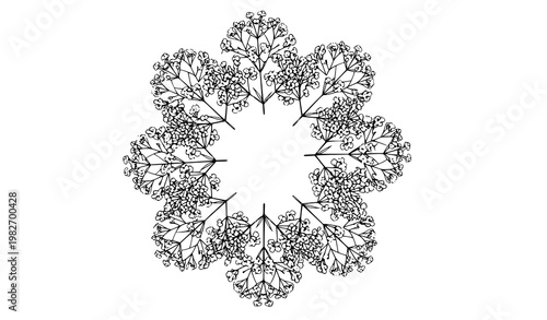 Hand drawn gypsophila flower line art vector set with delicate baby’s breath bouquet in black and white