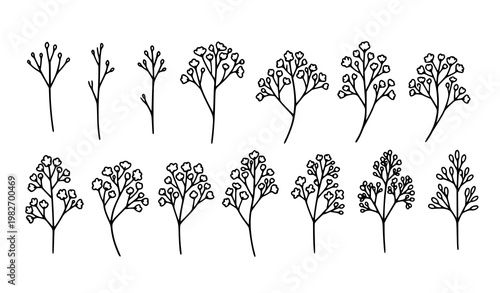 Gypsophila baby’s breath line icon set in black and white hand drawn vector for floral design