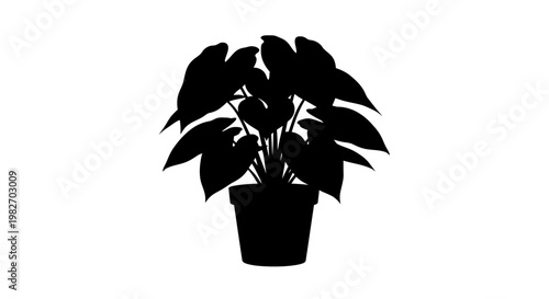 A striking black silhouette of a monstera deliciosa plant in a pot