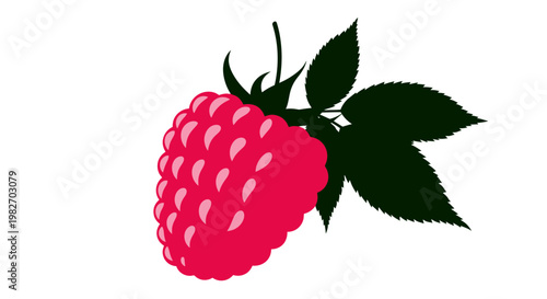 A vibrant stylized illustration of a ripe raspberry with green leaves