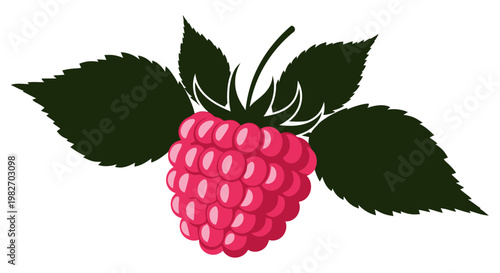 A vibrant illustration of a ripe raspberry with accompanying green leaves
