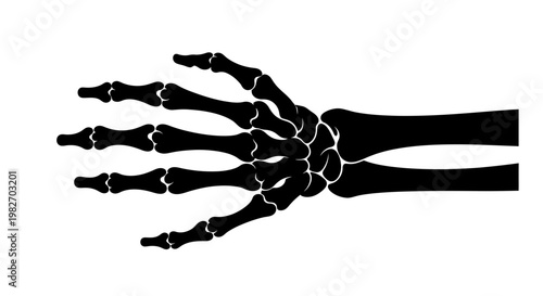 Anatomical illustration of a human hand skeleton in a black and white style