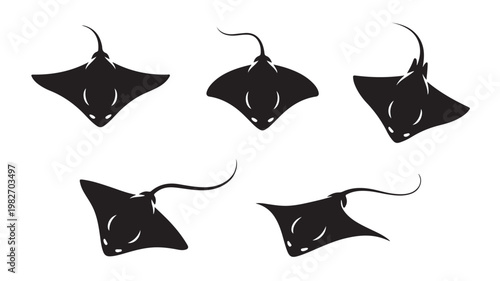 Manta Ray Silhouettes Isolated On White For Oceanic Wildlife Concepts