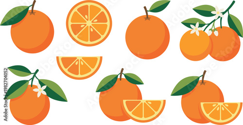 Orange Fruit Collection with Whole, Sliced, and Leafy Citrus Elements Flat Vector Illustration for Fresh Food, Juice, and Healthy Nutrition Design Projects
