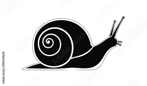 Black and white illustration of a snail with a spiral shell crawling, isolated on a white background, simple and minimalist design.