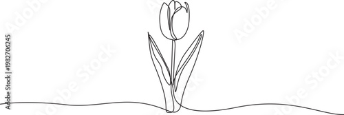 tulip flower continuous one line drawing, Tulip single line drawing. Abstract flower continuous one line illustration.