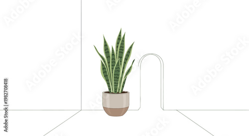 Snake plant in a beige pot on a white background with minimalist lines
