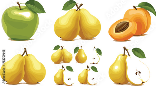 Pear and Apricot Fruit Collection with Whole Fruits, Halves and Slices Fresh Organic Food Vector Illustration Set