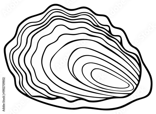 Black and white line art illustration of an opened oyster shell.