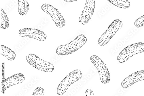 Hand-drawn outline pattern of pickles a white background, food cucumber