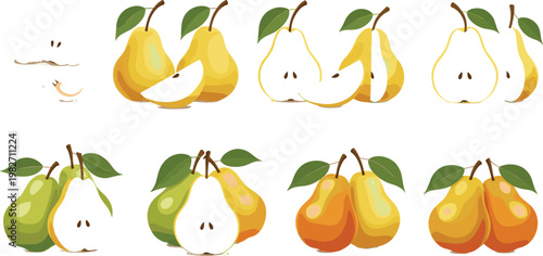 Pear Fruit Collection with Whole Pears, Halves and Slices Fresh Organic Healthy Food Vector Illustration Set
