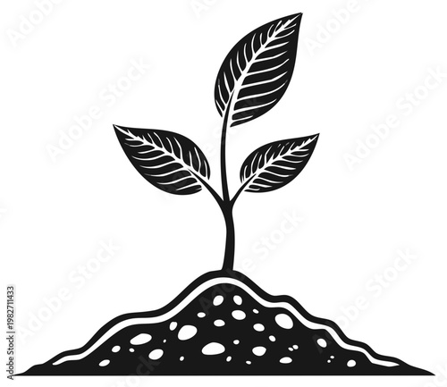 Young green sprout emerging from rich dark soil with visible pebbles