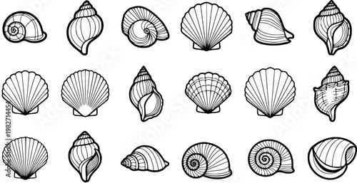 Black and White Line Art Seashells Collection. Marine Life Ocean Beach Mollusk Shells Outline Icons Set for Nature and Summer Design.