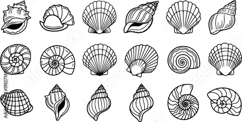 Black and White Line Art Seashells Collection. Ocean and Marine Life Outline Icons Featuring Various Sea Shells, Conchs, Clams, and Spiral Designs for Nature and Beach Concepts.