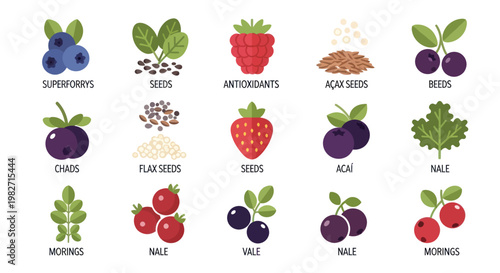 Superfoods Collection: Berries, Seeds, and Greens - Healthy Eating Icons