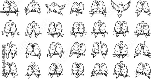Black and White Line Art Lovebirds Couple on Branch, Cute Vector Illustration