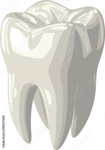 A digitally rendered isolated molar tooth is prominently displayed against a plain background showcasing its anatomical structure high quality professional detailed