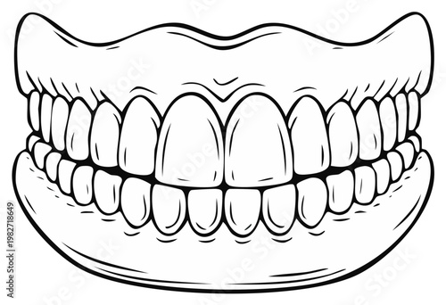 Drawn Human Teeth Set: Upper and Lower Jaw Line Art Illustration for Dental Health Concepts