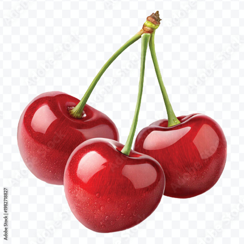 red canberry fruits in different style isolated on transparent background