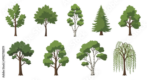 Collection of Diverse Tree Illustrations: Deciduous, Coniferous, and Weeping Varieties