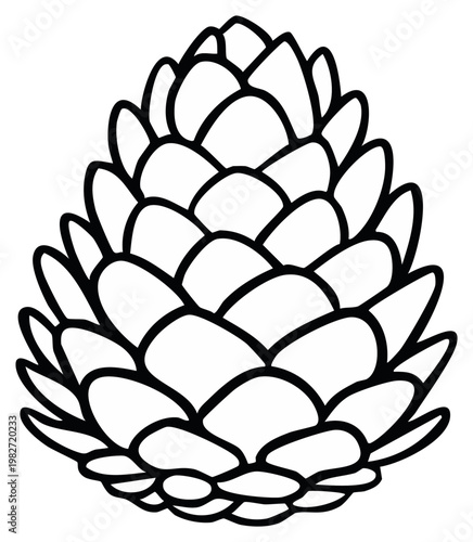 Simple line art illustration of a pine cone for design and decoration