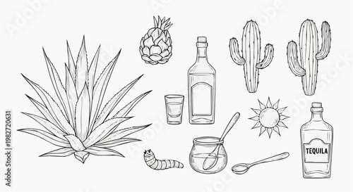 Agave plant and tequila production icons set, hand drawn line art vector
