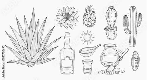 Agave plant and tequila production icons set, hand drawn line art vector