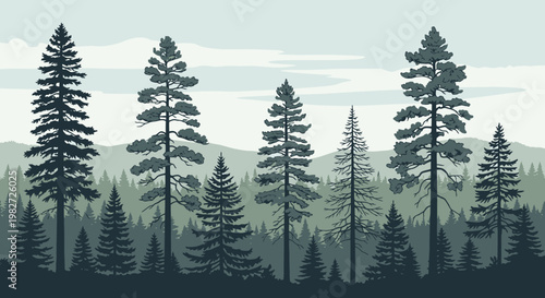 Diverse coniferous forest landscape, evergreen trees, pine, fir, spruce, mountains background